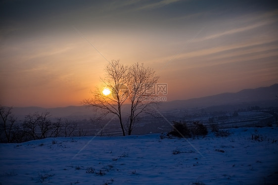 夕阳下的雪景图片