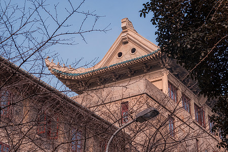 樱花季武汉大学樱顶背景