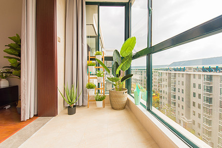 玻璃植物居室阳台背景