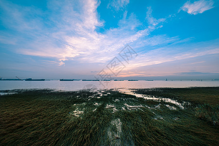 上海吴淞湿地公园日出背景