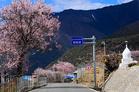粉红雪山西藏索松村桃花背景