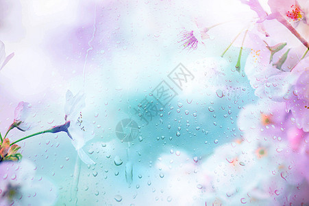 樱花雨滴创意背景图图片