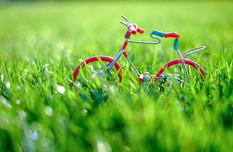 春天绿色草地里的自行车模型图片