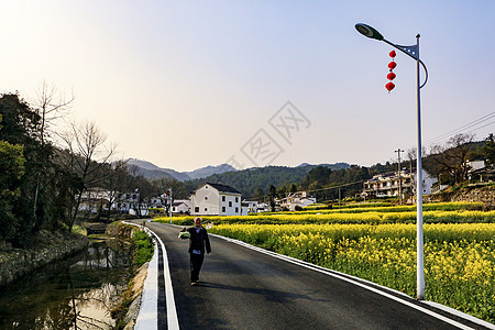 春漫城乡背景图片