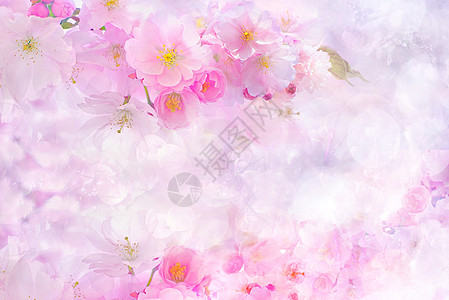 粉色花朵背景图背景图片