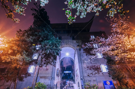 武汉大学夜樱樱花图片