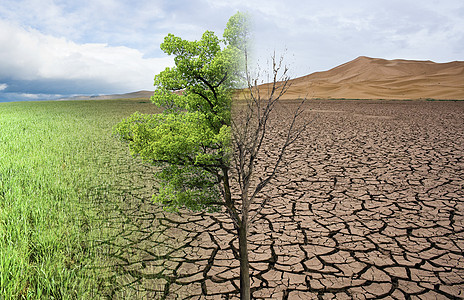 大地干枯图片 大地干枯素材 大地干枯高清图片 摄图网图片下载