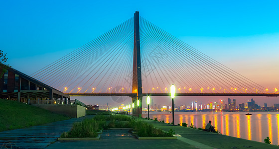 公园夜景斜拉索桥美图背景