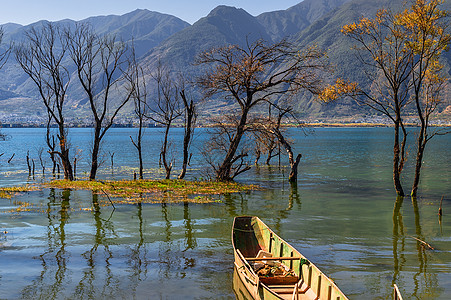 大理风光阳光洱海背景