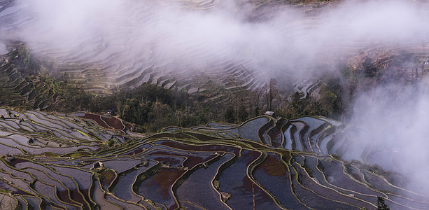 云南风光梯田背景