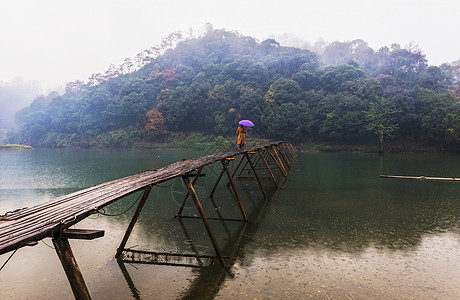 秋雨图片