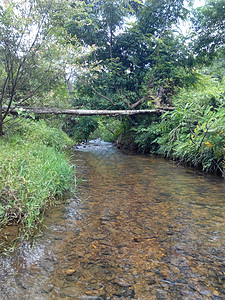 小山村小溪图片