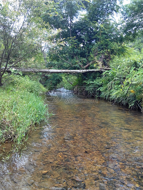 小山村小溪图片