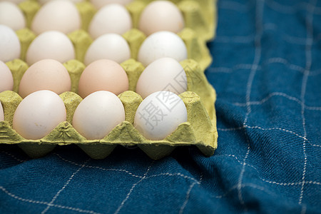 鸡蛋鸡蛋盒图片