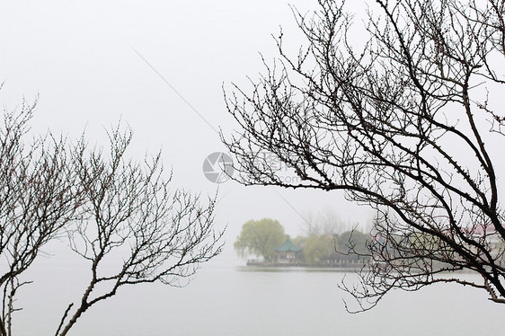 烟雨江南图片