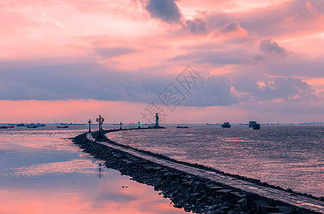 上海吴淞吴淞湿地公园日出背景