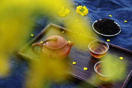 水菜花图片 水菜花素材 水菜花高清图片 摄图网图片下载