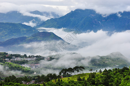 温州茗岙背景