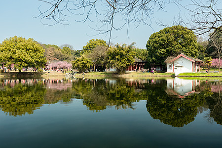 竹林庭院东湖春天景色背景