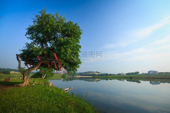 夏天坝上草原风光图片