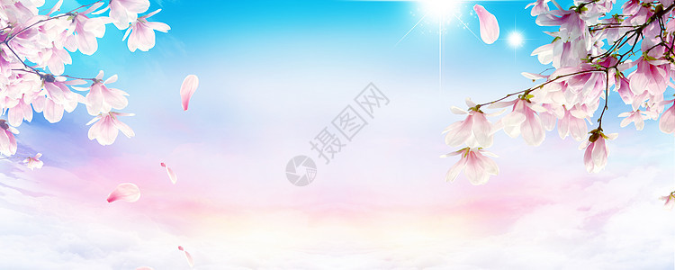 美容背景创意 美容背景合成 美容背景设计图片下载 摄图网