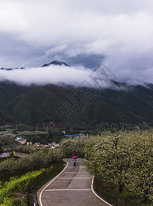 灌阳之春云雾缭绕的公路高清图片