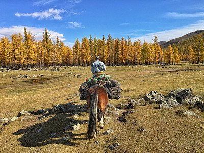 秋天金色草原上骑马的人图片