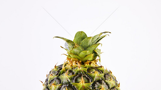 一颗菠萝图片