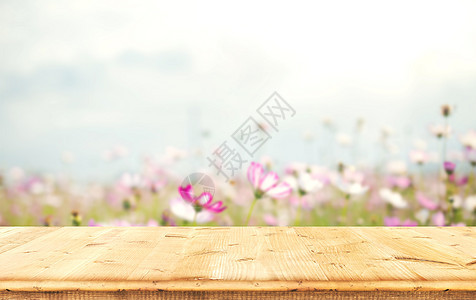 春天桌面背景图片