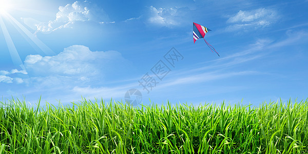 小麦风筝蓝天图片