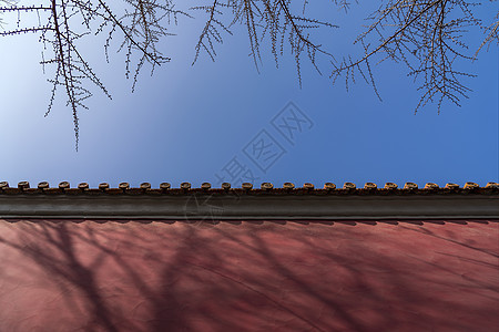 春天的古建筑故宫高清图片素材