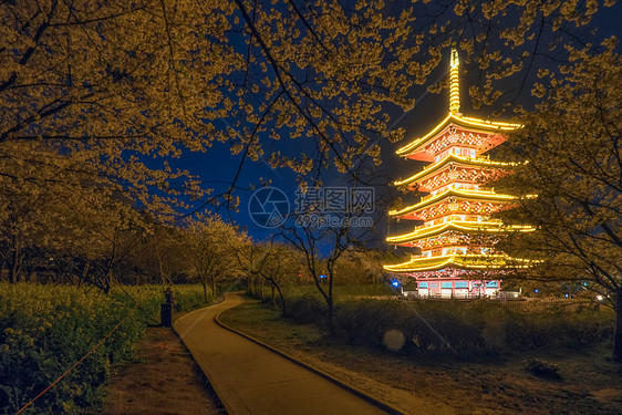 武汉东湖樱园夜樱图片