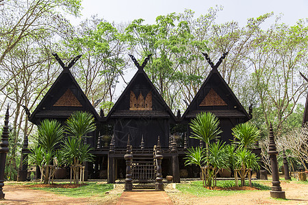 泰国清迈黑庙博物馆图片