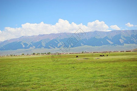 新疆巴里坤大草原图片