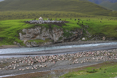 新疆天山牧业草场图片