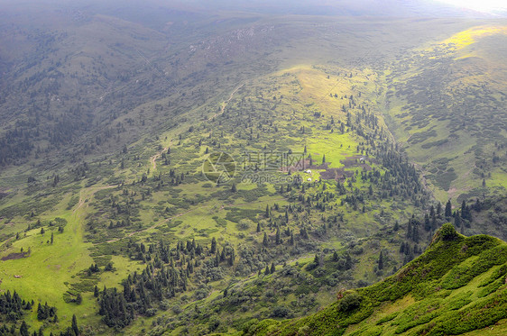 新疆天山山脉山野草地图片