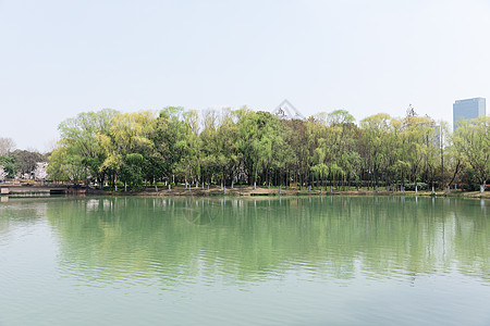 春天公园湖泊游玩风景图片