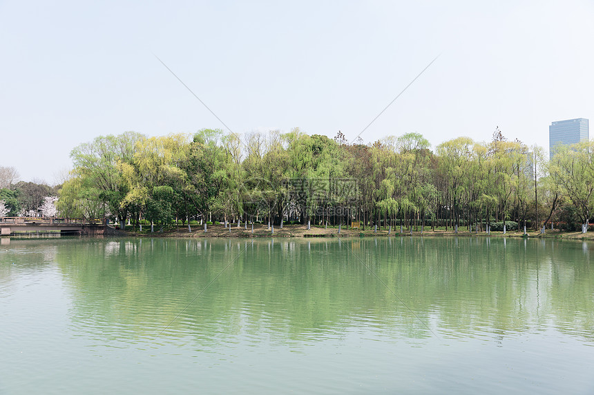 春天公园湖泊游玩风景图片