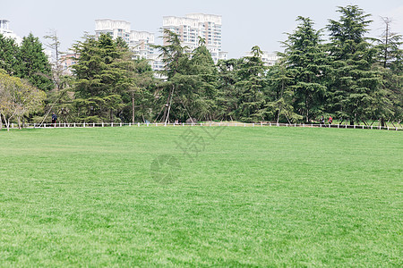 春天公园里的绿色草地背景图片