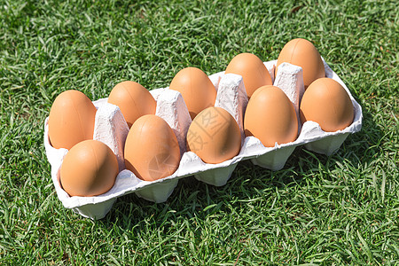 土鸡蛋草地上的鸡蛋背景