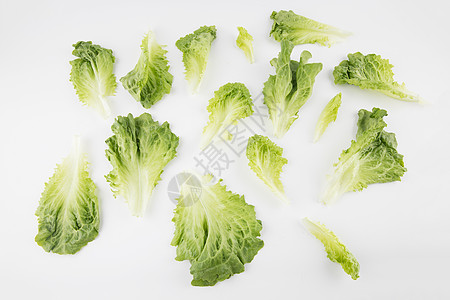 生菜绿色蔬菜背景图片