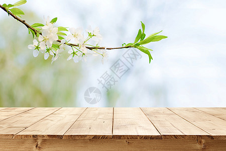 春天背景木板鲜花高清图片