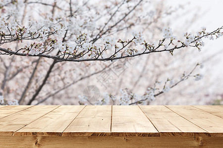 春天木板背景图片
