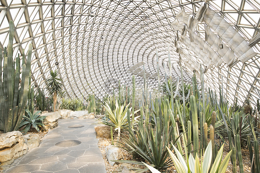 温室植物园高清图片下载 正版图片 摄图网
