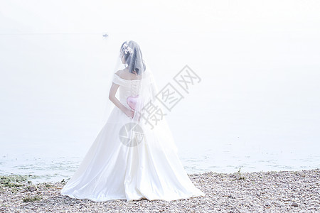 新娘简约白色背影图片