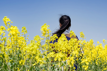 郊外泥土乡村田园油菜花中女孩背影背景
