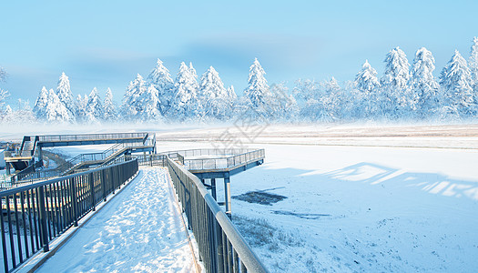 黑龙江雪景感恩节小雪高清图片