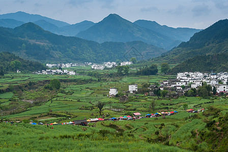 古生态园安徽徽州清明风光背景