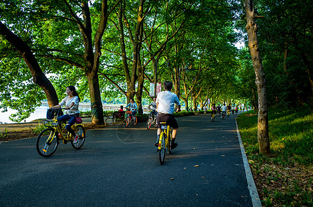 骑车载人武汉东湖绿道美景背景
