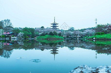 樱园背景图片